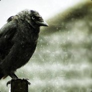 [𝓢𝓡] 𝓓𝓪𝓿𝓮