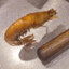 The Shrimp Who Fried the Rice