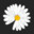 ماو تسي تونغ