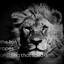 The Lion