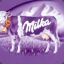 Milka&#039;s | MilkaBär der nette T