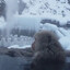 cold