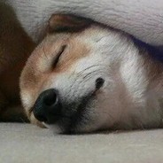 我打大电你打我