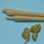 Jachloni