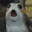 crispyporg