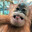 Shteet avatar