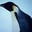 Iampenguin1234