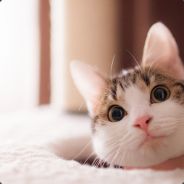 别跟我扯哩哏儿棱