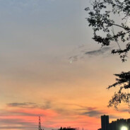 护士妈妈求放过