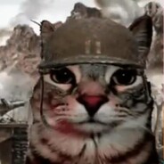 PikaBear¬(puticornios)