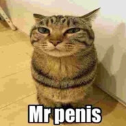 Mr penis