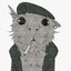 ♡Cat Nip Dealer♡