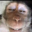 Macaca mulatta skins.army's avatar