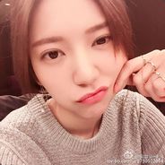 盗号狗不共戴天