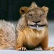 Диллер письками