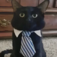 zej 's avatar