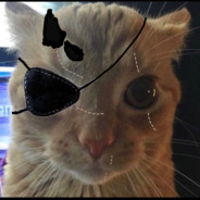 Punished Puss