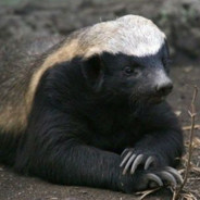 Veganesfischstäbchen <3