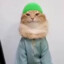 CATULLAH