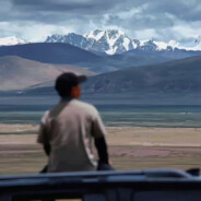 小鱼永远爱海棠