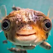 Puffer Pimp