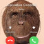 Cornelius Coconut