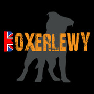 Boxerlewy