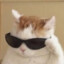 TheSadCatシ