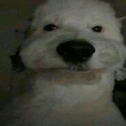 Todu
