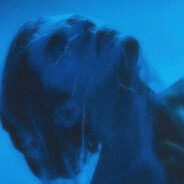 我菜 我也很难过