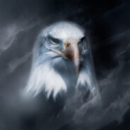 Mist Eagle