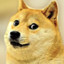Buy Doge Coin