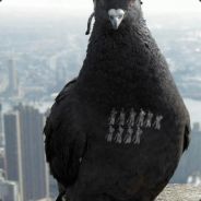 MaTaR - steam id 76561197961874900
