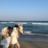 誰念落日夕阳斜