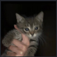 Chat gpt 2.1's avatar