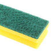 sponge