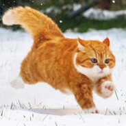 给我五彩斑斓的雨