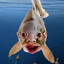 PareEye's avatar
