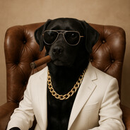 WiPuck #Brassenkönig