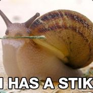BurnN (ReViVeD!!!!) - steam id 76561197965523500