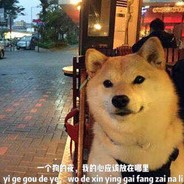 多灾多难的小朋友