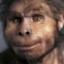 Homo Erectus