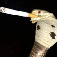 Pedro Snake ''no skill''