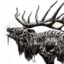 The Dead Elk