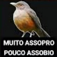 lucaslm
