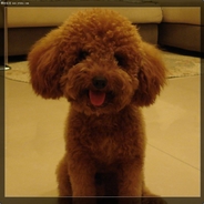 微微一笑、很倾城