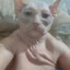 desixx28