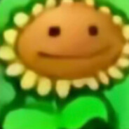 为美好的现充献上向日