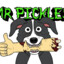 Mr. Pickles