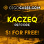 KACZKA cs2cases.pro
